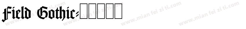 Field Gothic字体转换